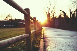 情感語錄：此生，你不來，我不老，那該有多好