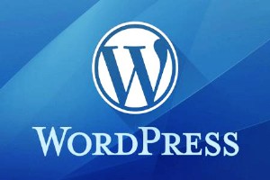 WORDPRESS主機空間如何搭建網站?